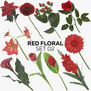 3D model red floral set 02