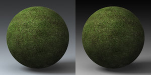 C4D Grass Landscape Shader_009