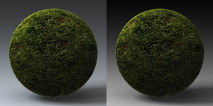 C4D Grass Landscape Shader_012