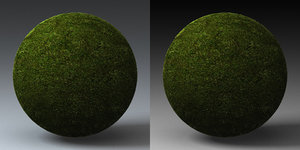 C4D Grass Landscape Shader_025