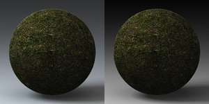 C4D Grass Landscape Shader_027