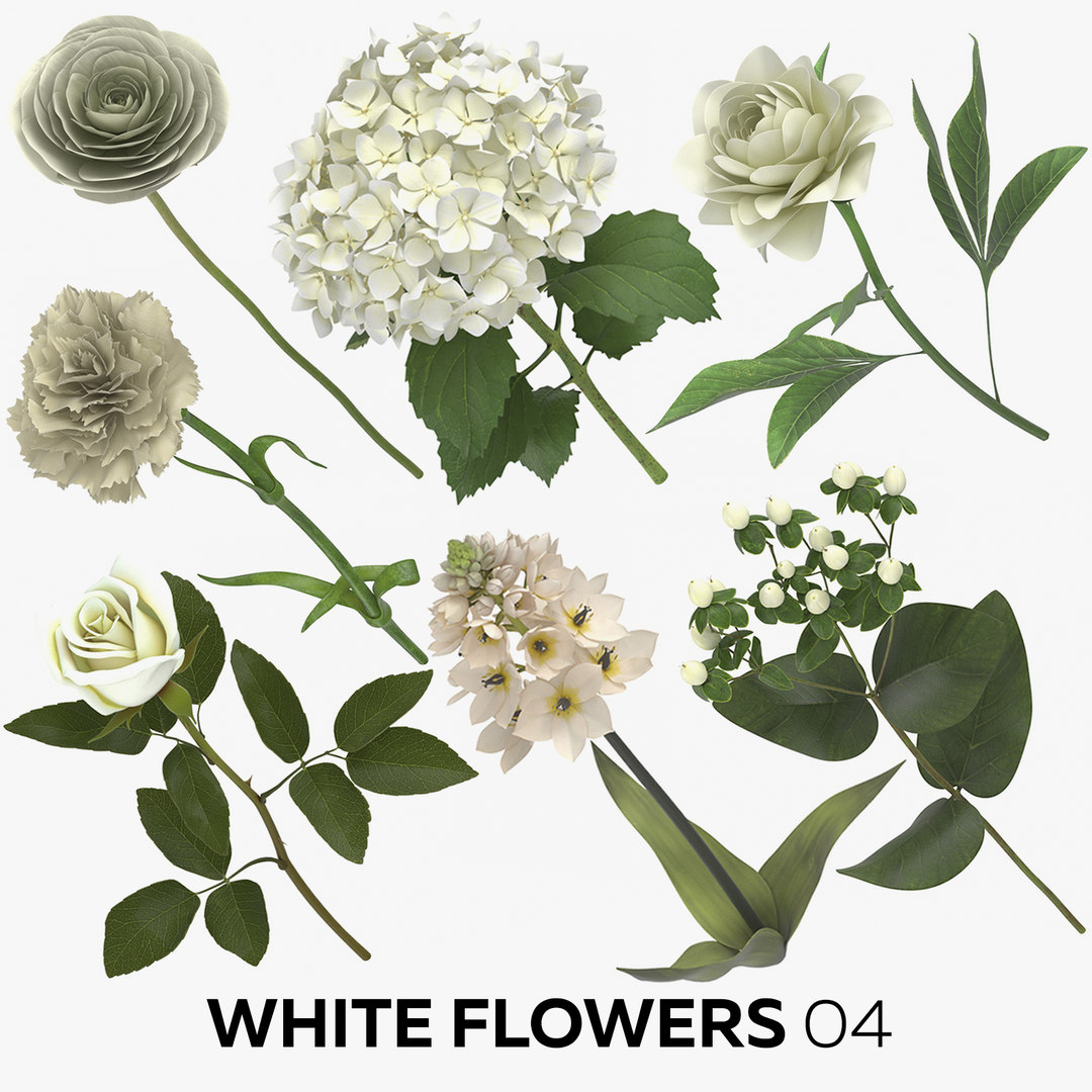 White flowers 04 3D model - TurboSquid 1452472