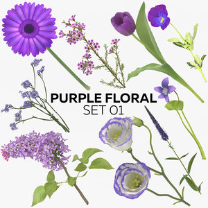 purple floral set 01 3D model