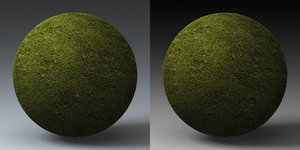 C4D Grass Landscape Shader_029