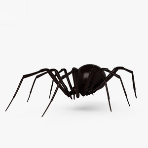 black widow spider 3D model