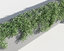creeper plants 5: star 3D model