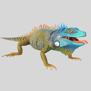 3D american iguana