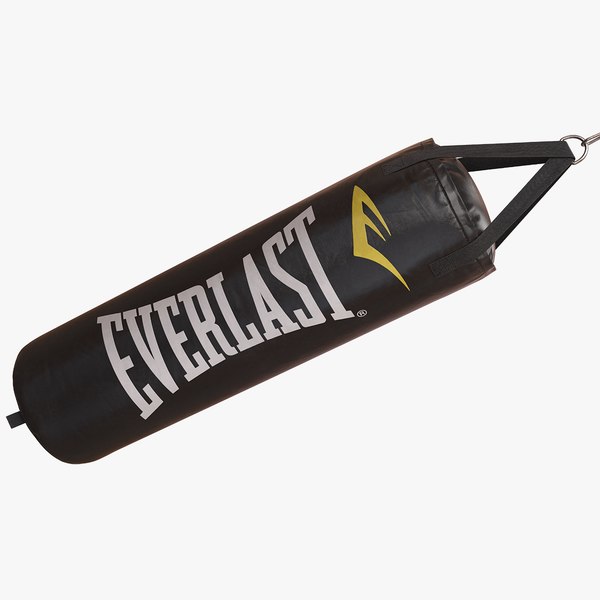 punching bag everlast 3D