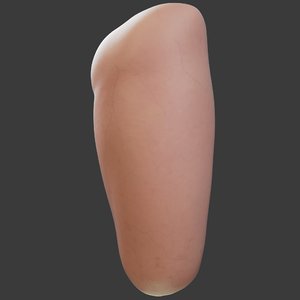 3D amputated leg model