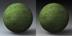 C4D Grass Landscape Shader_035