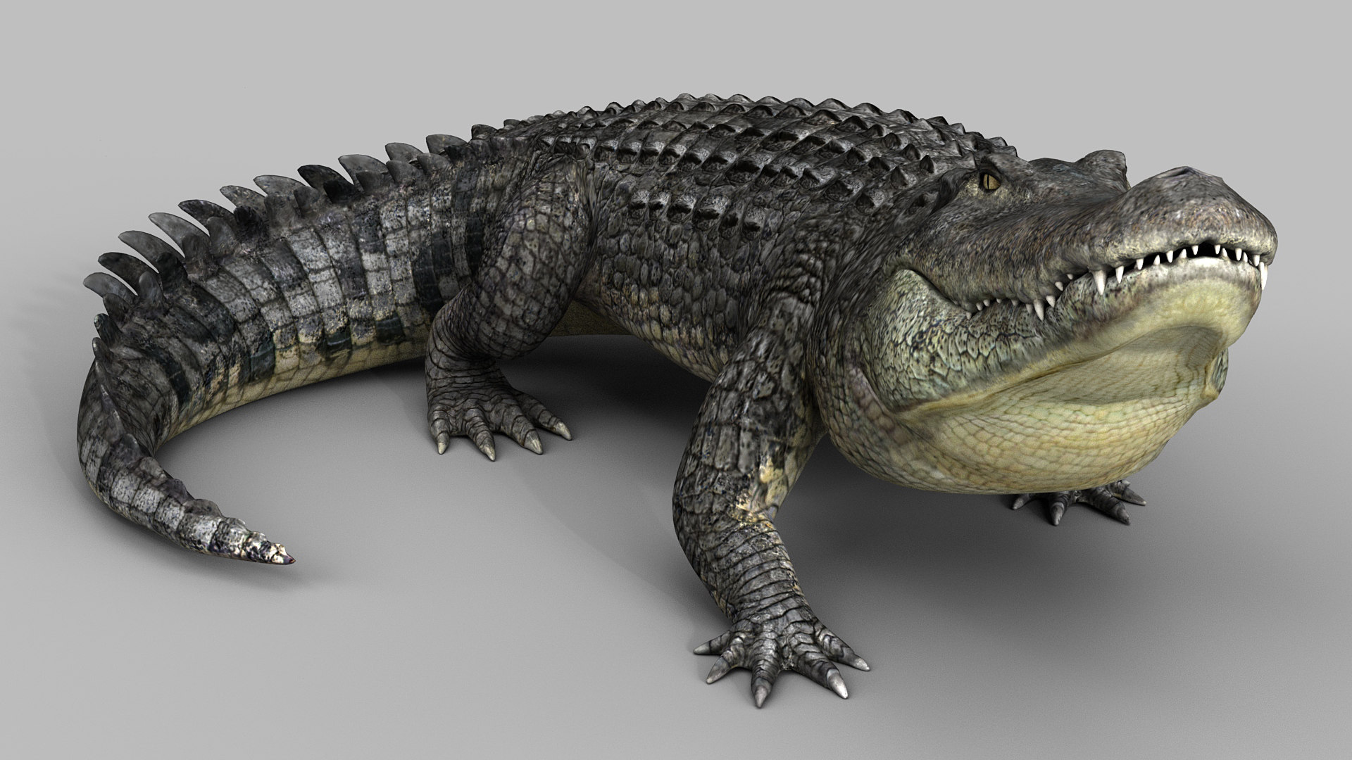 alligator-pro-modelo-3d-turbosquid-1450473