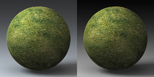 C4D Grass Landscape Shader_036