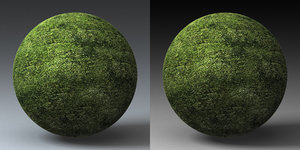 C4D Grass Landscape Shader_037