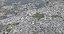 tokyo cityscape 2019 city model
