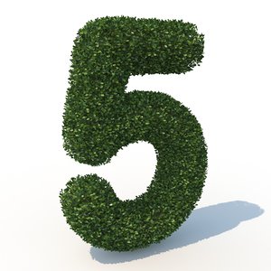 5 hedge 3D model