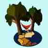 member avatar