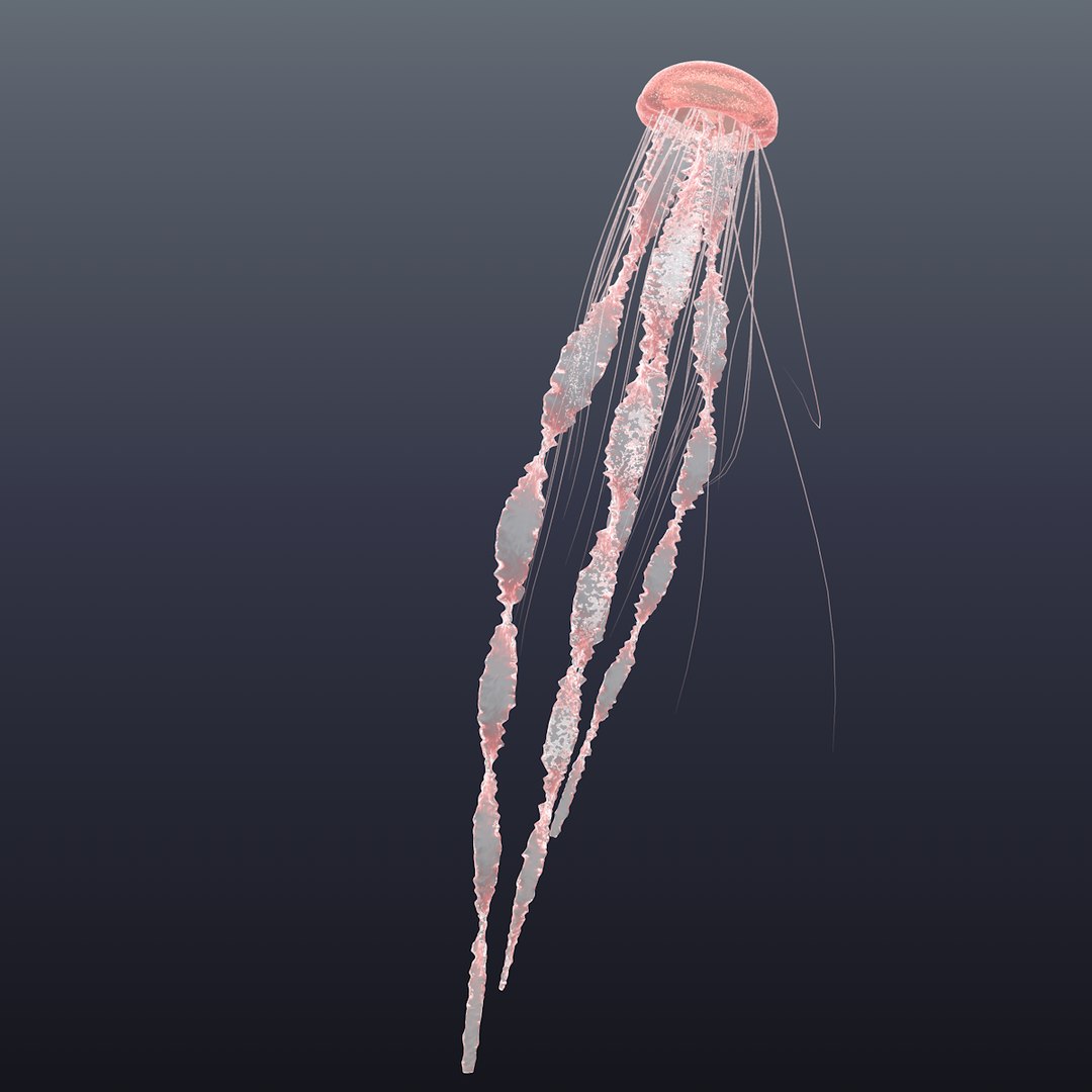 Realistic jellyfish model TurboSquid 1453268
