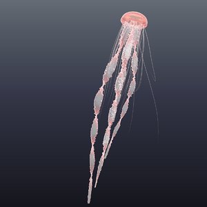 realistic jellyfish model