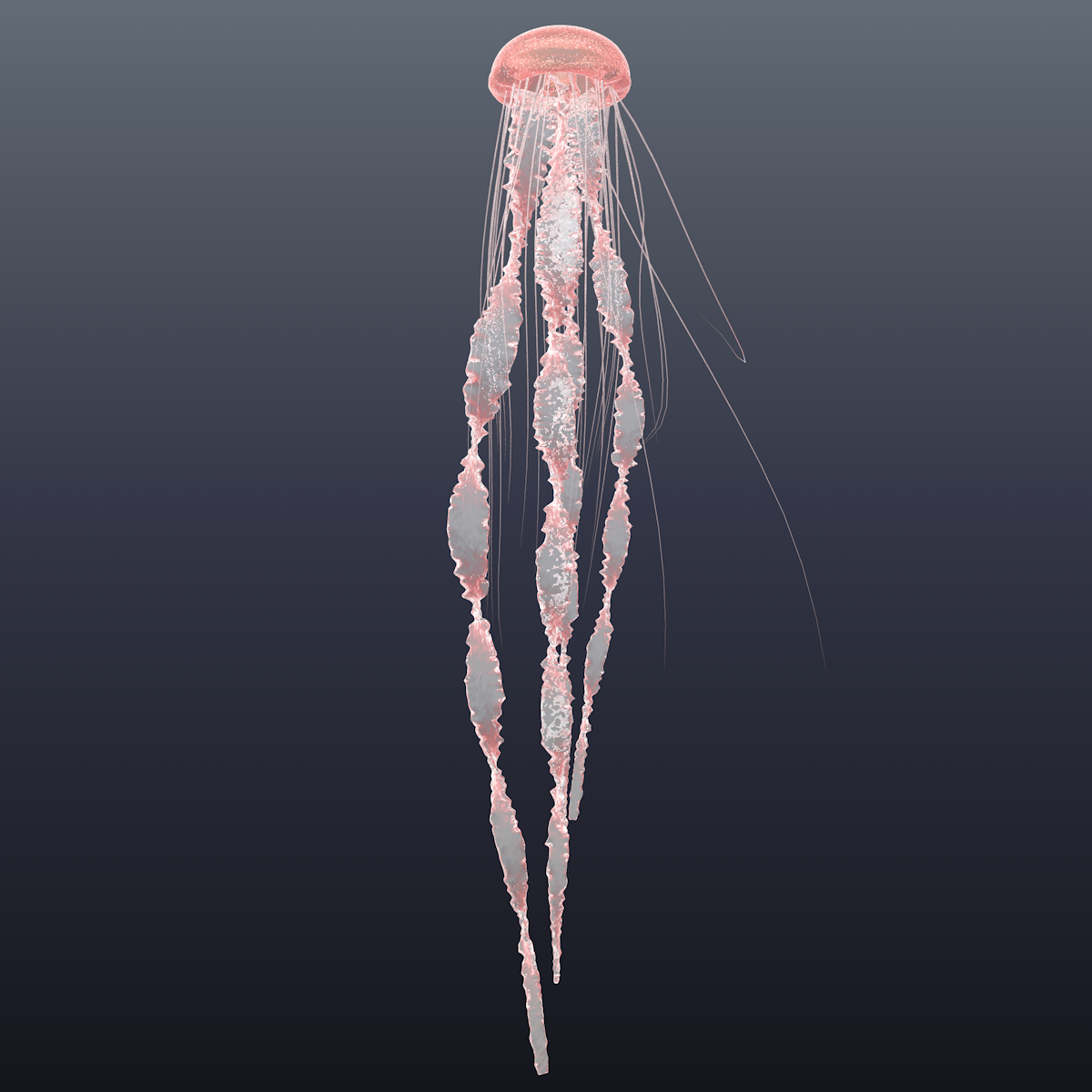 水母粉红色3d模型