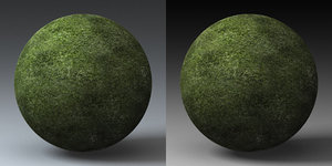 C4D Grass Landscape Shader_040