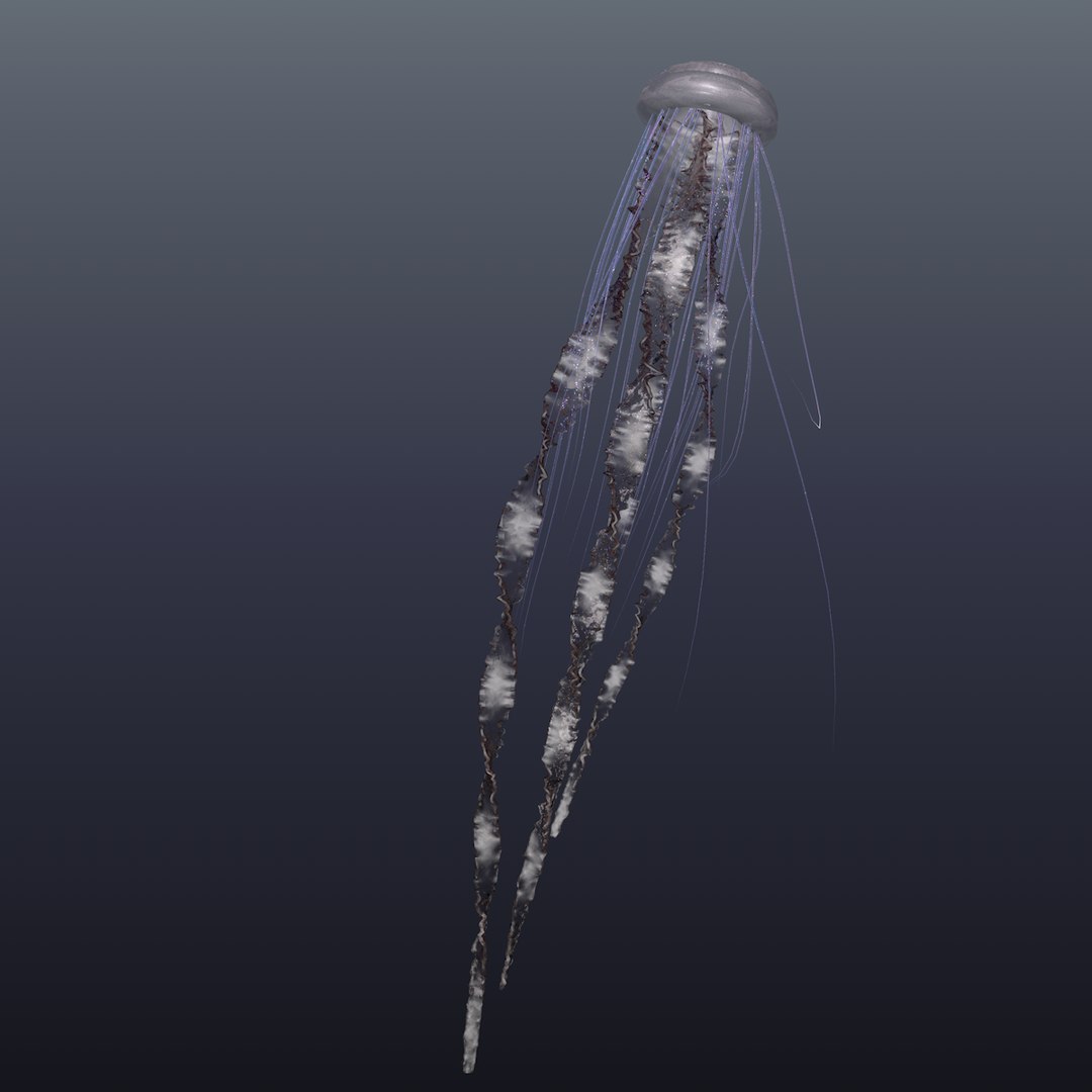 3D realistic jellyfish model TurboSquid 1453365