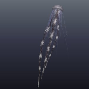 3D realistic jellyfish model