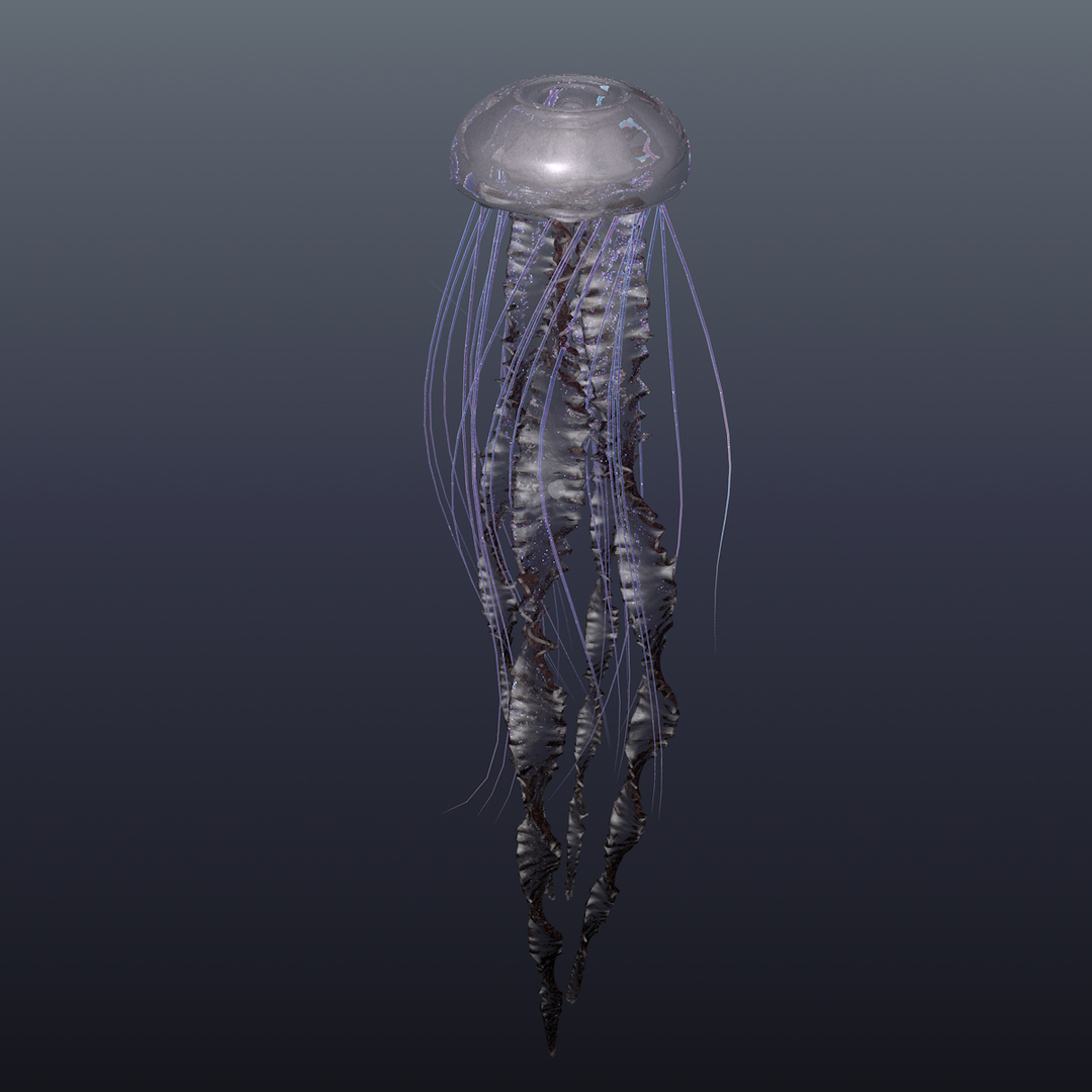 3D realistic jellyfish model TurboSquid 1453365