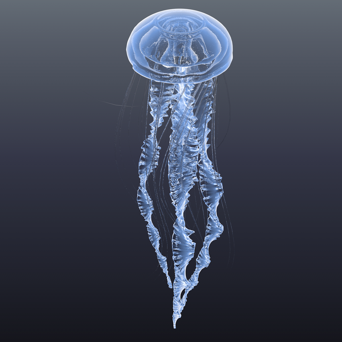 Realistic jellyfish 3D model TurboSquid 1453390