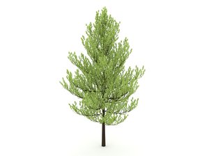 tree blender dae 3D model