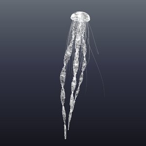 realistic jellyfish 3D model