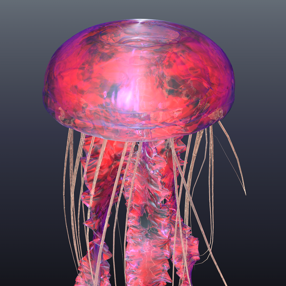 realistic jellyfish model