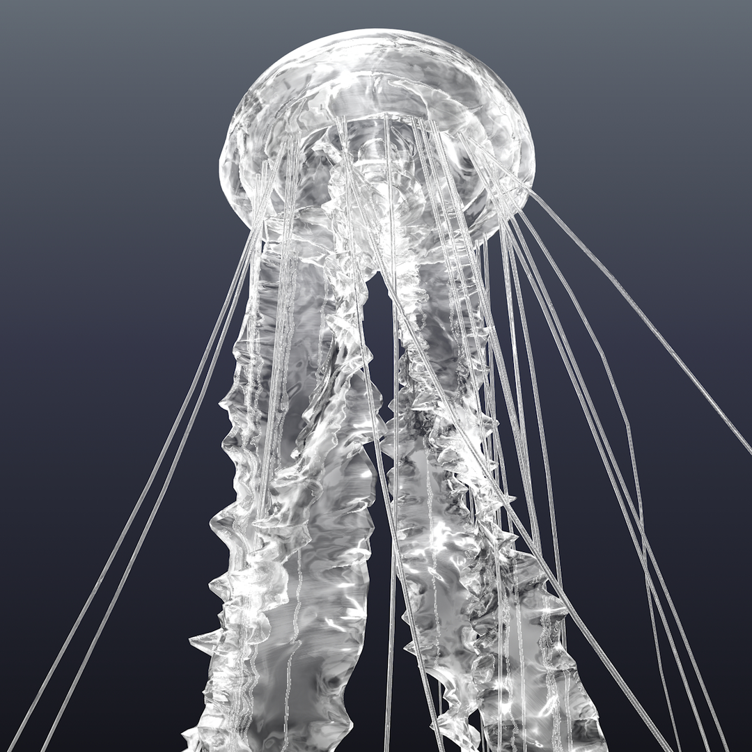 Realistic jellyfish 3D model TurboSquid 1453720