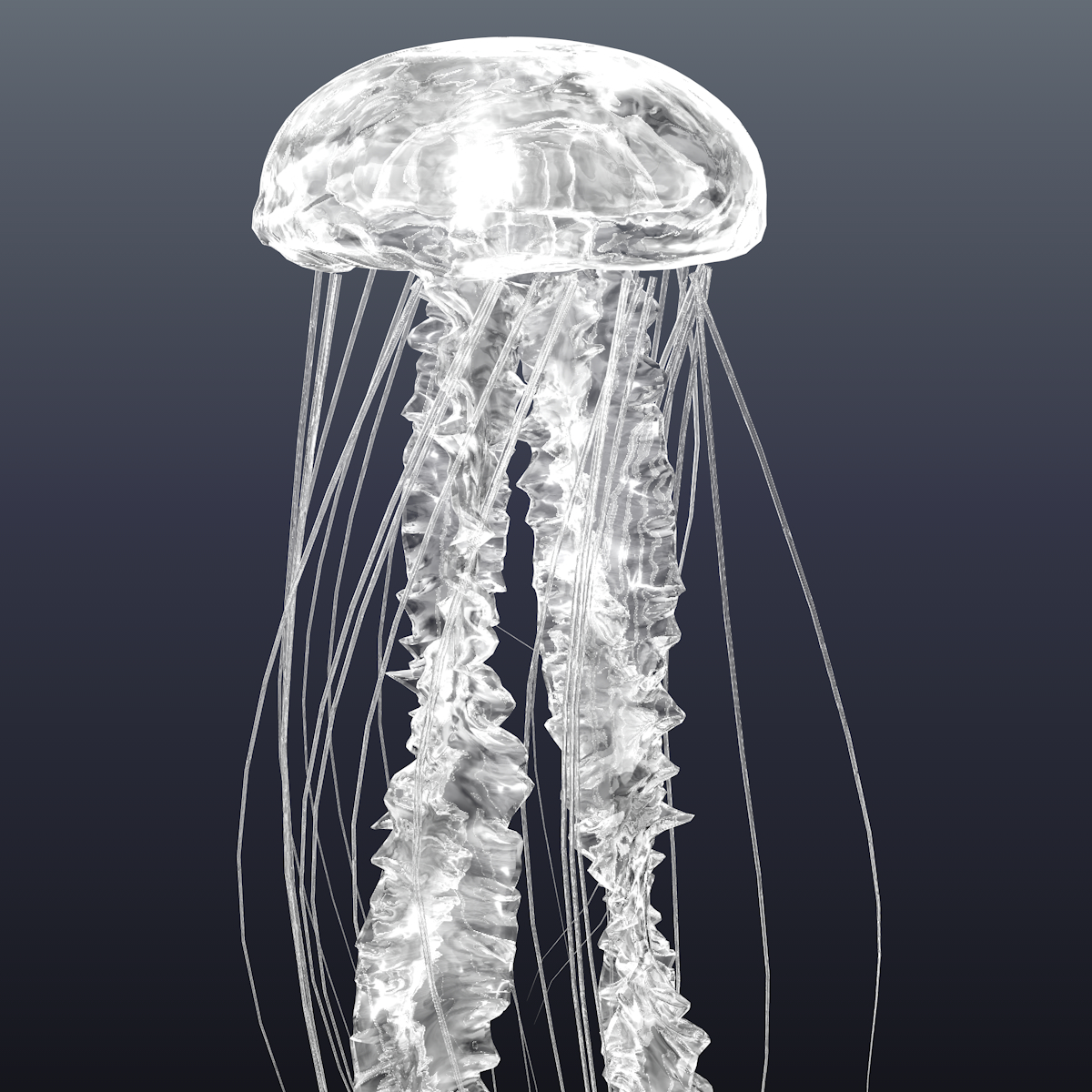 Realistic jellyfish 3D model TurboSquid 1453720