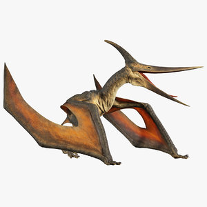 pteranodon rig animation model