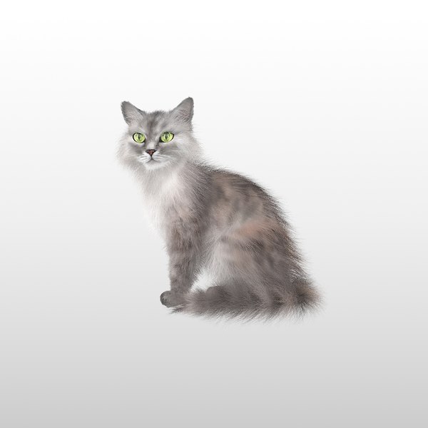 cat 3D model