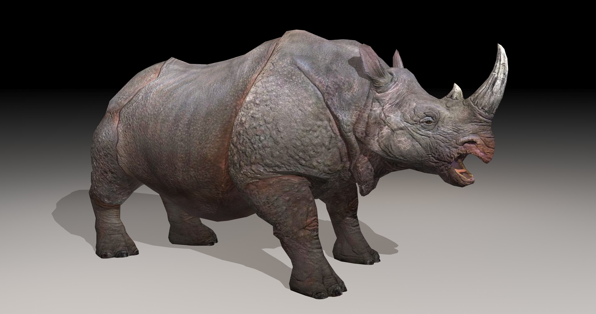 Rhinoceros animal rhino 3D model TurboSquid 1455073