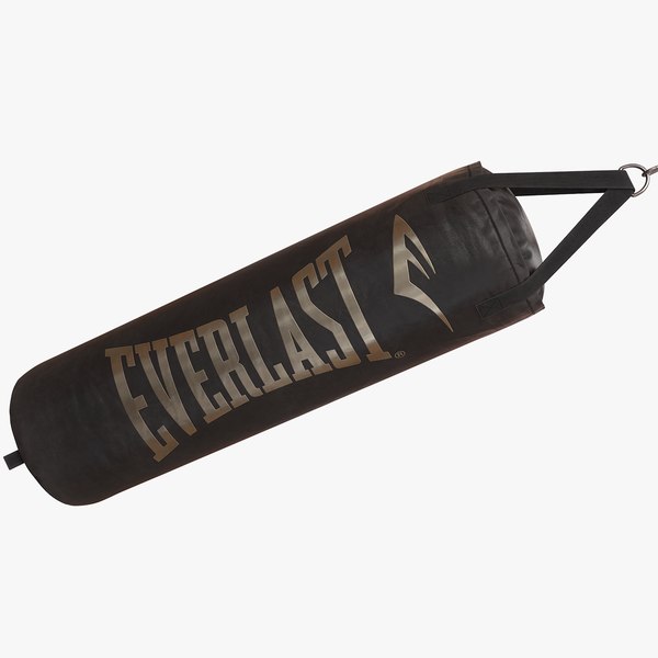 punching bag everlast 3D model