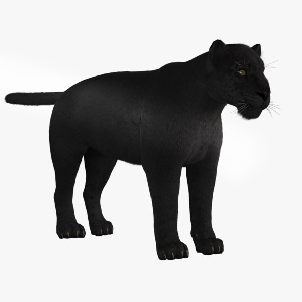 black leopard 3D model