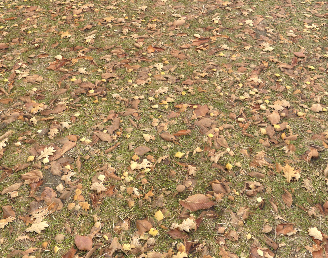 Other ground. Dead grass PBR. Sony ground texture. Ground PNG.