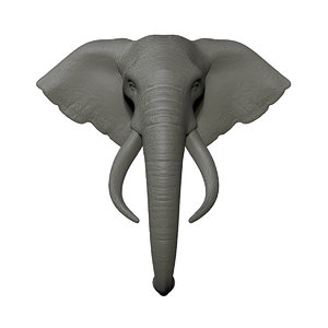 elephant head trophy wall mount 3D model