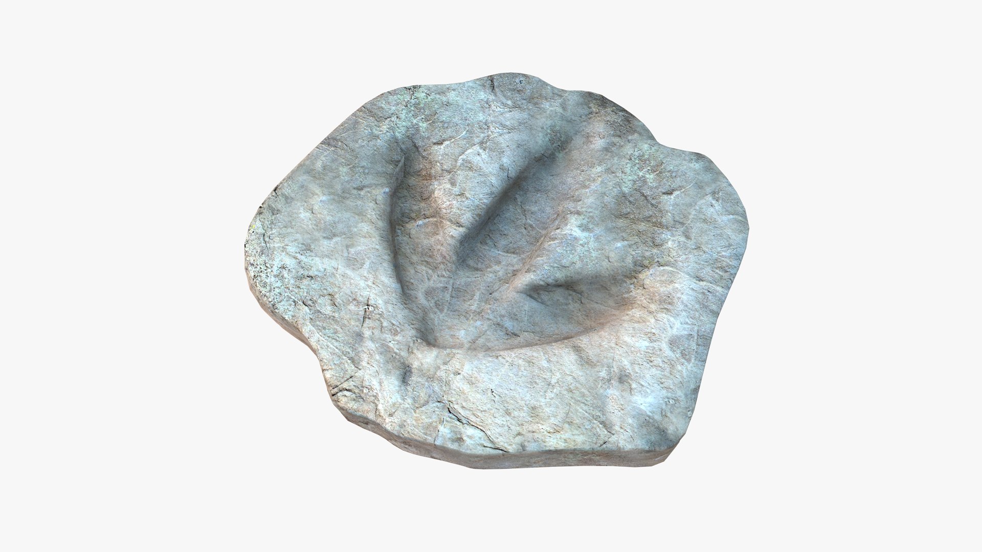 dinosaur footprint fossil