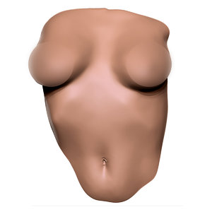 female torso wall deco model