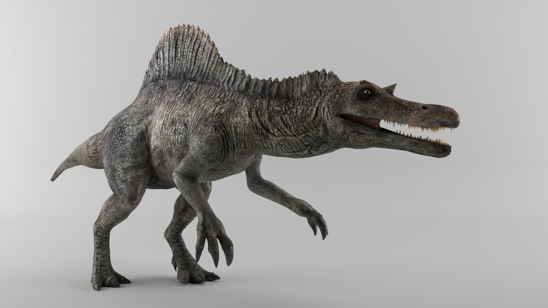 spinosaurus real size