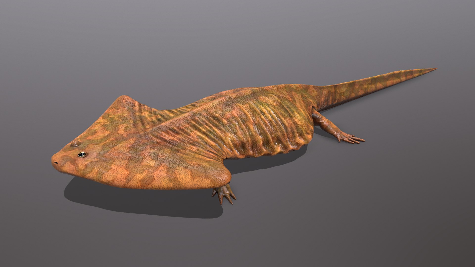 3D Diplocaulus Magnicornis - TurboSquid 1455433