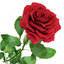3d flowers red rose