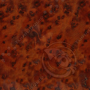 Burr Walnut.jpg