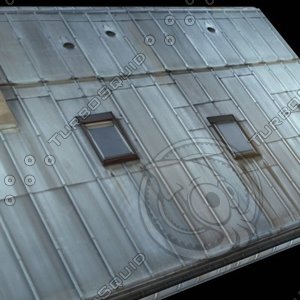 Large Galvanized Roof High Resolution.JPG