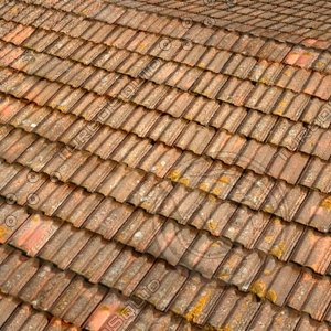 Flat Terra Cotta Roof Tile.jpg