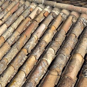 Old Round Terra Cotta Roof Tile.jpg