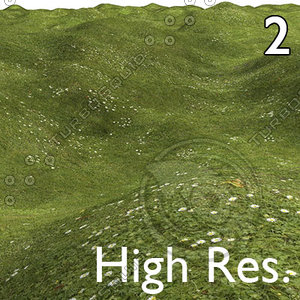 Ultimate Grass 2 High Resolution.jpg